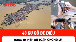 43 sự cố đê điều đang uy hiếp an toàn chống lũ
