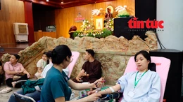 Nhiều hoạt động ý nghĩa dịp Vu Lan tại TP Hồ Chí Minh