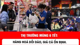 Thị trường mùng 6 Tết: Hàng hoá dồi dào, giá cả ổn định