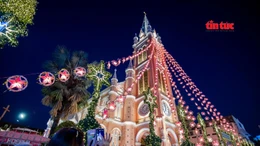 'Nhà thờ hồng' Tân Định lung linh mùa Giáng sinh
