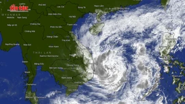 Thời tiết tuần từ ngày 1 - 7/12/2025: Bão số 15 đang tiến vào vùng biển Việt Nam