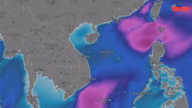 Thời tiết Tết Nguyên đán 2025: Không khí lạnh tăng cường khiến miền Bắc rét đậm