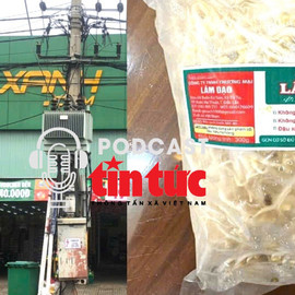 ‘Giải mã cùng luật sư’: Hàng nghìn tấn giá đỗ ngâm chất độc hại được tiêu thụ, ai là người chịu trách nhiệm? 