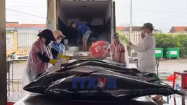 Chống khai thác IUU từ nhận thức của ngư dân