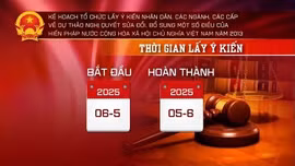 Hình thức tổ chức lấy ý kiến sửa đổi Hiến pháp 2013