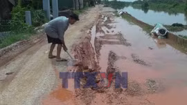 Dự án Xử lý sự cố sạt lở đê tả sông Càn chưa hoàn thành gây khó khăn cho người dân
