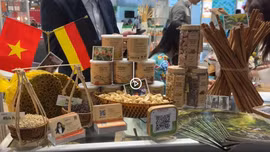 Xúc tiến thương mại nông sản hữu cơ Việt Nam tại Hội chợ Biofach 2025