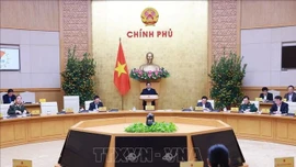 Chính phủ họp phiên thường kỳ tháng 1/2025