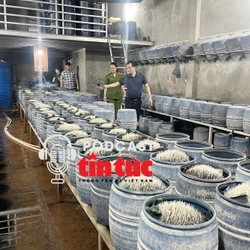 Tin nóng trong nước sáng 28/5/2025
