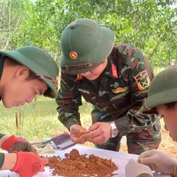 Tin nóng trong nước sáng 3/11/2025