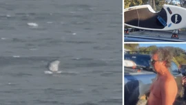 Khoảnh khắc kinh hoàng: Người đàn ông bị cá mập hất văng khỏi ván lướt ở Tây Australia