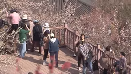 Bất chấp kinh tế suy thoái, người Hàn Quốc tăng chi cho du lịch