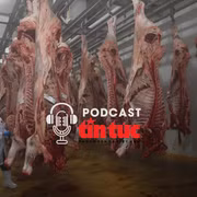 Tin nóng trong nước sáng 3/4/2026