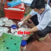 Tin nóng trong nước sáng 7/7/2025