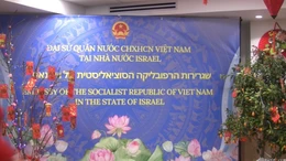 Đại sứ quán Việt Nam tại Israel tổ chức sự kiện 'Xuân quê hương' Ất Tỵ 2025