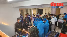 Phát hiện 5 bộ hài cốt liệt sĩ trong đợt tìm kiếm tại Công viên Lê Thị Riêng.