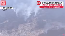 Cháy rừng nghiêm trọng nhất ở Nhật Bản trong hơn 30 năm