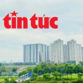 HoREA đề xuất cải cách quy trình thực hiện các dự án nhà ở thương mại tại TP Hồ Chí Minh