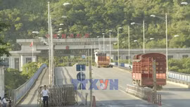 Xuất nhập khẩu qua Lào Cai trong ngày đầu năm