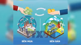 Thị trường carbon Việt Nam bước vào giai đoạn vận hành thử