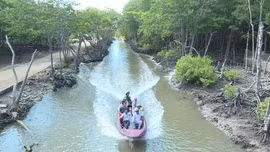 TP Hồ Chí Minh tăng cường quản lý các vùng đất ngập nước