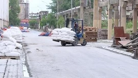 Doanh nghiệp thích nghi với biến động giá xăng dầu