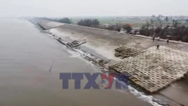 Khắc phục sự cố trên tuyến đê biển Hải Thịnh