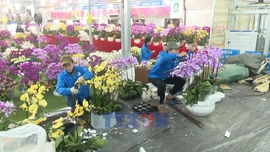 Sắc xuân từ các làng hoa, cây cảnh truyền thống