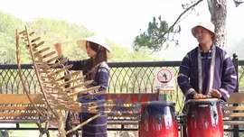 Chủ động chấp hành quy định về bản quyền âm nhạc ở Đà Lạt