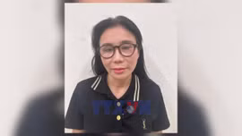 Khởi tố vợ chồng giám đốc Công ty TNHH thẩm mỹ viện Mailisa