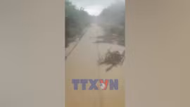 Rút ngắn hành trình nhiều chuyến tàu Bắc - Nam