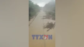 Rút ngắn hành trình nhiều chuyến tàu Bắc - Nam