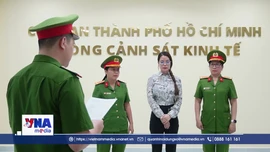 Góc nhìn pháp lý vụ diễn viên Trương Ngọc Ánh bị khởi tố