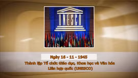 Khoảnh khắc & sự kiện ngày 16/11