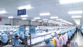 FDI tăng mạnh tạo kỳ vọng mới cho nền kinh tế