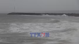 Lâm Đồng chủ động ứng phó bão số 15