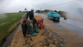 Vùng lũ Đắk Lắk không còn thóc giống cho mùa vụ mới