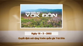 Khoảnh khắc & sự kiện ngày 18/3