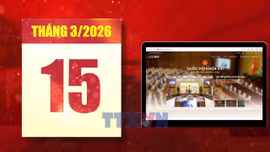 5 điểm mới quan trọng của kỳ bầu cử 2026 - 2031