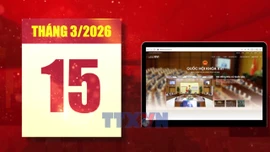 5 điểm mới quan trọng của kỳ bầu cử 2026 - 2031