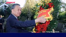 Thời sự qua ảnh chiều 28/10