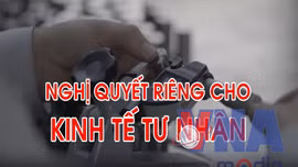 Doanh nghiệp tư nhân sẽ đóng góp khoảng 55 - 58% GDP