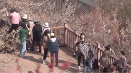 Bất chấp kinh tế suy thoái, người Hàn Quốc tăng chi cho du lịch