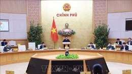 Chính phủ họp phiên thường kỳ tháng 1/2025