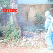 Bác sĩ ơi: Cảnh giác dịch sốt xuất huyết ngay từ đầu năm