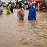 Bác sĩ ơi: Cảnh giác bệnh ghẻ, nấm da với người dân sau lũ lụt