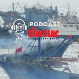 Tin nóng thế giới sáng 14/2/2026