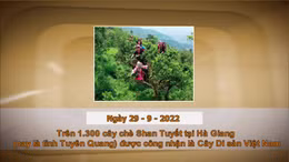 Khoảnh khắc & sự kiện ngày 29/9