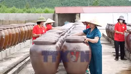 'Tấm vé' OCOP 5 sao giúp nước mắm Hà Tĩnh chinh phục thị trường