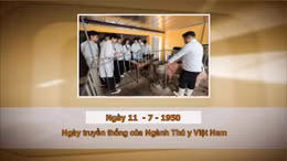 Khoảnh khắc & sự kiện ngày 11/7